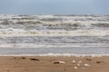 Beach Ã¢â¬â¹Ã¢â¬â¹foam Egmond aan Zee, The Netherlands Royalty Free Stock Photo